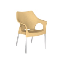 Chaise de jardin en plastique de haute qualité avec pieds en acier inoxydable