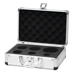 Made in China Ningbo Factory New Arrive Aluminum Hard Carry Tool Case Box with Trolley and Wheels
