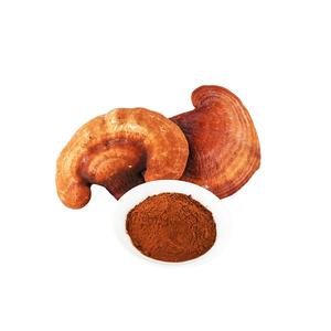 समग्र लाभ के लिए रीशी अर्क पाउडर और गैनोडर्मा ल्यूसीडम के साथ भरा हुआ शुद्ध मशरूम पाउडर - Product Image 6