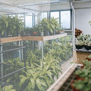Filet anti-insectes en HDPE 50 mailles <span class=keywords><strong>pour</strong></span> l'agriculture, <span class=keywords><strong>protection</strong></span> contre les insectes volants, filet anti-insectes en plastique UV <span class=keywords><strong>pour</strong></span> plantes et légumes - Product Image 6