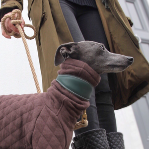 <span class=keywords><strong>Collar</strong></span> de entrenamiento para perros de cuero multicolor Sighthound, conjunto de <span class=keywords><strong>Collar</strong></span> ajustable para perros, <span class=keywords><strong>Collar</strong></span> personalizado para mascotas, accesorios para mascotas - Product Image 3