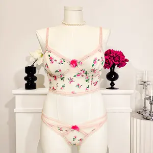 Best Selling Sexy Push Up Thin Cup Bra And Thong Set Bow Floral Dot Embroidery Underwire Bra And Transparent Mesh. Thong