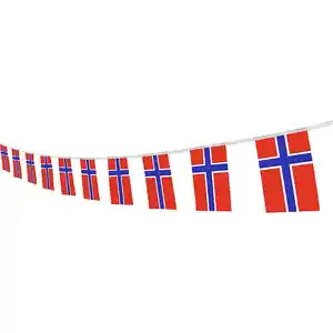 Viering Gebruik Kleine String Mini Nationale Land Wereld Vlaggen Van Noordelijke Noorse Wimpel Banners