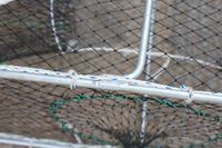 Nasse galvanisée carrée de petite taille pour poulpes, seiches, crabes, homards et poissons