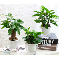 Vente en gros, Pots de fleurs en plastique à 2 niveaux, jardinière, grands Pots de plantes d'intérieur décoratifs à arrosage automatique/