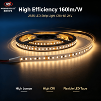 Bande lumineuse LED 2835 24V 112 LED/m CRI>83 160lm/W Haute luminosité Bande LED flexible pour la décoration de projets intérieurs