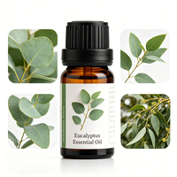 Huile Essentielle d'Eucalyptus Pure, Naturelle et Biologique, Purifiante, Rafraîchissante, Soin de la Peau, Aromathérapie, Huile de Massage pour Diffuseur