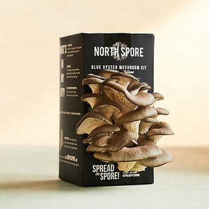 High Quality Cardboard <strong>Mushroom</strong> Fresh <strong>Mushroom</strong> Box <strong>Growing</strong> <strong>Kit</strong> Box with Handle Pulp Recyacle Packaging Box for <strong>Mushroom</strong> <strong>Growing</strong> - Product Image 4