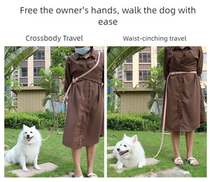 Custom Printed PVC Nylon Webbing Dog <b>Leash</b> Solid Ribbon Design Heat Transfer Waterproof Rubber Coated Durable <b>Pet</b> Training <b>Leash</b> - Product Image 4