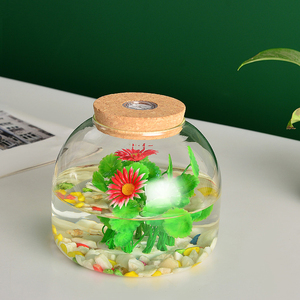 Pot de <span class=keywords><strong>terrarium</strong></span> en verre de forme ronde fait à la main petit pot de réservoir de poissons avec bouchon en liège LED pour la décoration de table de mariage à la maison - Product Image 2