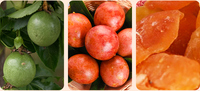Gedroogde Passievrucht Laag in Suiker Gezond Gedroogd Fruit Op Maat Klein Verpakking Bulk Groothandel