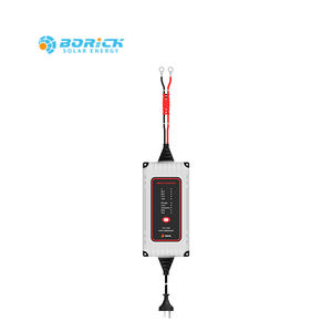 <span class=keywords><strong>Chargeur</strong></span> de batterie automatique 12v 25A <span class=keywords><strong>Chargeur</strong></span> à <span class=keywords><strong>induction</strong></span> pour <span class=keywords><strong>chargeur</strong></span> de batterie au lithium - Product Image 4