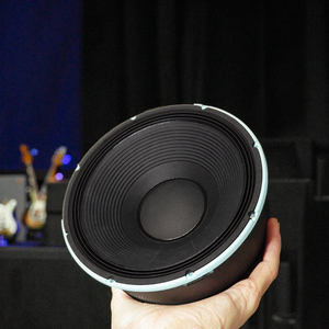 Woofers 15 "600-1200W 8 Ohm Panier en aluminium moulé sous pression et aimant en ferrite pour l'audio haute performance - Product Image 6