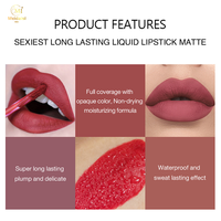 Personnalisation du produit imperméable mate lápiz labial de larga duración líquido lápiz labial Kit de etiqueta privada antiadherente Copa brillo de labios con HALAL