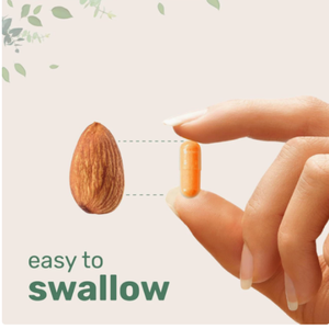 <span class=keywords><strong>Curcuma</strong></span> Curcumine 95 1000mg Complexe de <span class=keywords><strong>Curcuma</strong></span> Complément Alimentaire 120 Capsules - Product Image 3