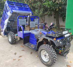 Высокое качество, 300 куб. См, CVT, Cuatrymoto, ферма, ATV, внедорожный UTV - Product Image 2