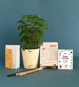 Aralia With Plantable Stationary Plant Starter Kit Wedding Invitation Paper Gift Box