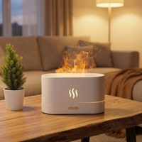 Meilleur Vendeur Mini Humidificateur Flamme Diffuseur d'Huiles Essentielles pour Bureau et Maison, Machine d'Aromathérapie Portable pour Chambre et Bureau