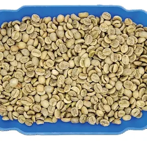 2024 Best Selling Top Ranking Premium Vietnam Organic ARABICA 18 FULLY WASHED COFFEE BEANS Robusta Qualified Sources Robusta