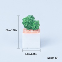 Maison de poupée mini pot de fleur cactus micro paysage bouteille écologique bricolage ornements