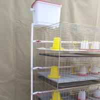 Nouveau design 60 à 320 oiseaux capacité couveuse cage à poulet galvanisé à chaud 3/4 couches avec 2 portes un type batterie d'élevage de volaille
