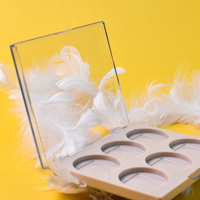 Vente en gros Palette de fard à paupières transparente vide à 6 couleurs avec logo personnalisé Emballage compact de fard à paupières cosmétiques