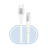 65W PD USB Type C à Type C Câble de charge rapide Cordon de charge réseau haut débit pour téléphones mobiles Ordinateurs portables avec gaine PVC/TPE