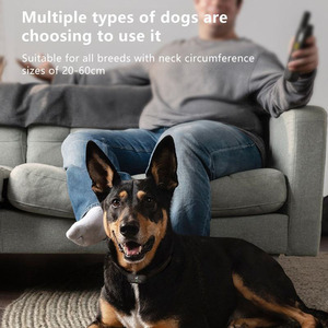 Qbellpet, recién llegados, recargable, IPX7, resistente al agua, 1600 pies, <span class=keywords><strong>Collar</strong></span> eléctrico de entrenamiento para perros, <span class=keywords><strong>Collar</strong></span> antiladridos para perros con control remoto - Product Image 6