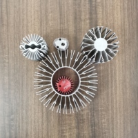Service d'extrusion d'aluminium sur mesure : Radiateur/Disque de refroidissement plat en aluminium anodisé extrudé