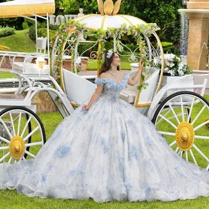 Vestido de baile Mumuleo azul claro para princesa Quinceanera, vestido de festa de aniversário com flores 3D, vestidos de 15 anos, doce 16 anos, 2024