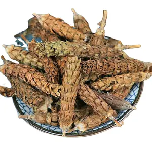China new dried bulk Prunella vulgaris heal all self heal woundwort fruit spike Prunellae Spica for herb