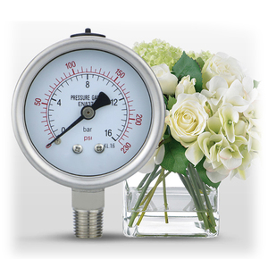 Mairuikesi เกจวัดความดันแห้งแบบคู่ที่มีความแม่นยำใน2.5% สแตนเลสสำหรับใช้งานในอุตสาหกรรมทั่วไป - Product Image 1