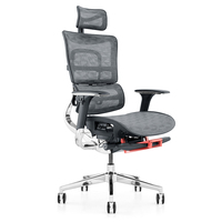 Chaise de bureau ergonomique en maille avec soutien lombaire et hauteur de siège réglable pour les douleurs au cou et au dos
