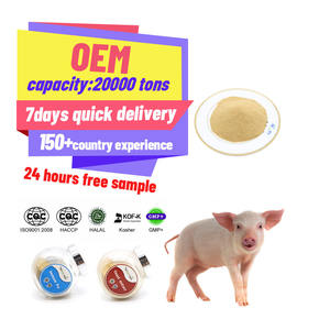 التغذية تعزز المكمل الطبيعي للمغذيات وتحسين المسحوق الغذائي السائب - Product Image 3