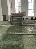 Industriële appel-, groente- en fruitwasserinstallatie, fruitborstelwasapparatuur voor het reinigen van uien