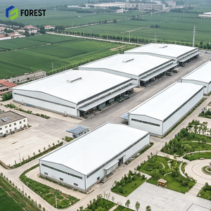 Estructura de Acero Industrial de Alta Resistencia para Talleres, Almacenes, Plantas Industriales Prefabricadas de Gran Capacidad - Product Image 1