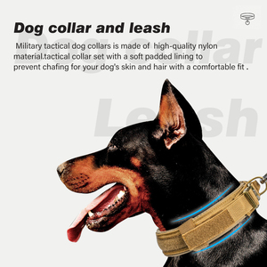 Collier et laisse à boucle métallique pour gros chiens, entraînement tactique et épais, vente en gros - Product Image 4