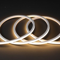 Bande LED néon 3D créative 12x12mm 120 LED/M IP67 Garantie 2 ans Lumière en corde de silicone pour façade architecturale CE ROHS