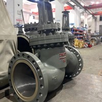 Válvula de Compuerta de Acero al Carbono Premium de Vástago Fijo y Asiento Resiliente, Directa de Fábrica, con Cuña de Acero Inoxidable 316L