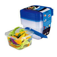 Personnalisé compétitif bon prix réutilisable 6pcs réfrigérateur modulaire pour animaux de compagnie collation conteneur de stockage boîte en plastique ensemble de stockage maison