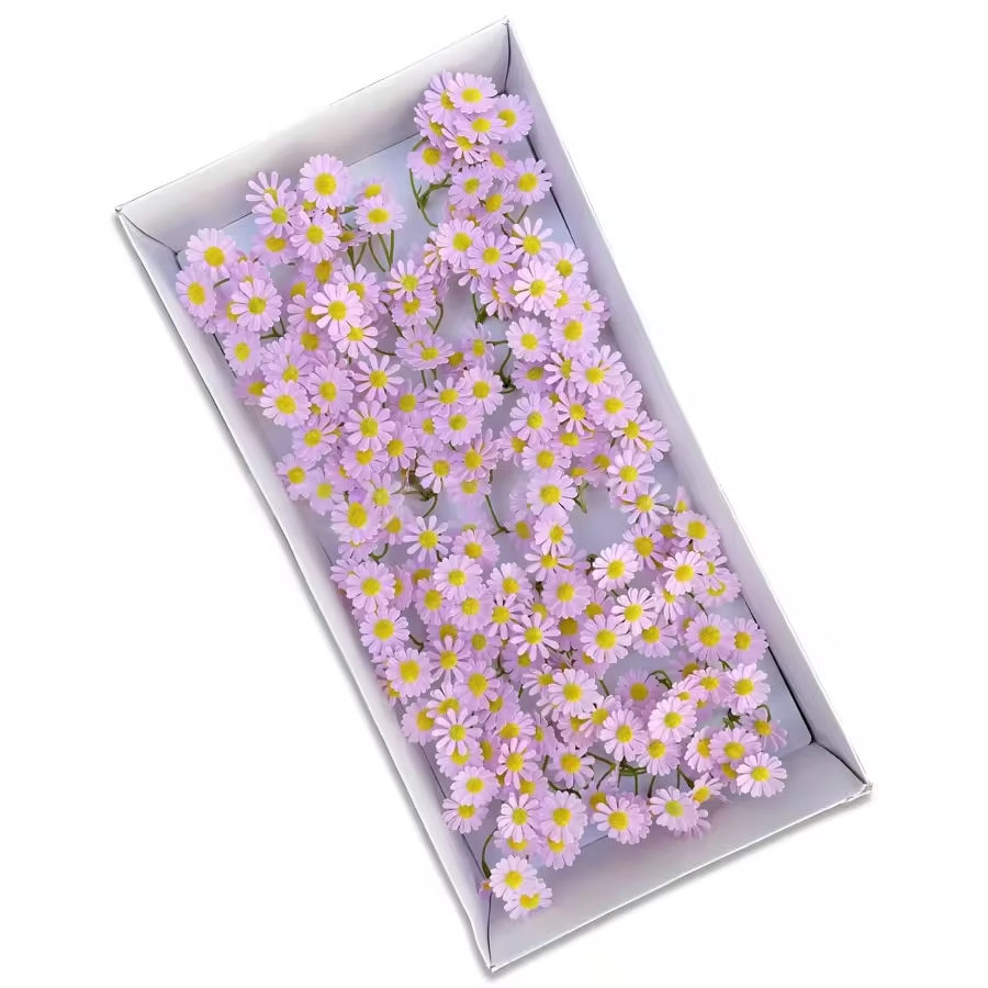 สีม่วงอ่อน