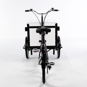 Vélo <span class=keywords><strong>cargo</strong></span> Portable de <span class=keywords><strong>petit</strong></span> budget, standard européen sans taxes pour la famille, transport de dernier mile, livraison assistée électrique - Product Image 5