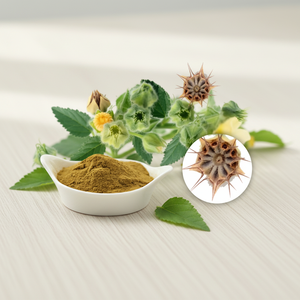 Extracto Herbal Natural de Beej Bandh 3:1 en Polvo, Grado Alimenticio, Ingrediente Derivado de Plantas Silvestres - Product Image 1