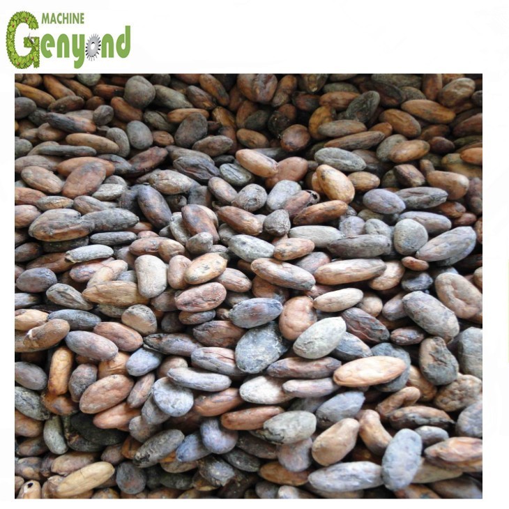 Automatic Commercial Cocoa Bean Roasting Machine