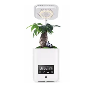 Factory sell indoor garden with light humidifier music model Calendar Clock intelligent flower smart flower pot LED flowerpot
