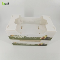 Boîte d'emballage pour avocats en carton alvéolé PP, empilable, pliable, écologique, avec trous de ventilation, économie de coûts