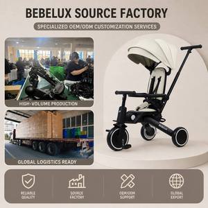 Fornitore Verificato Triciclo 8-in-1 per Bambini Colori Personalizzabili Tettuccio Rimovibile Protezione UV Certificato EN71 Triciclo che Semplifica la Parentalità - Product Image 1