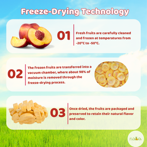 Rodajas de Durazno Liofilizadas de Primera Calidad, Sabor Dulce, 18g/Bolsa, envasadas al Vacío a Granel - Product Image 6