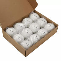 Fabricant de balles de softball d'entraînement en cuir blanc de haute qualité de 12 pouces, Tamanaco SB-120i, compétition de slowpitch, remplie de liège, couture plate