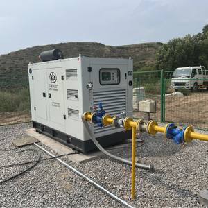 100kW 방수형 천연가스 수냉식 95% 효율 가스 발전기 EFI 발전기 세트 모델 SE100BF 50Hz 230V - Product Image 4